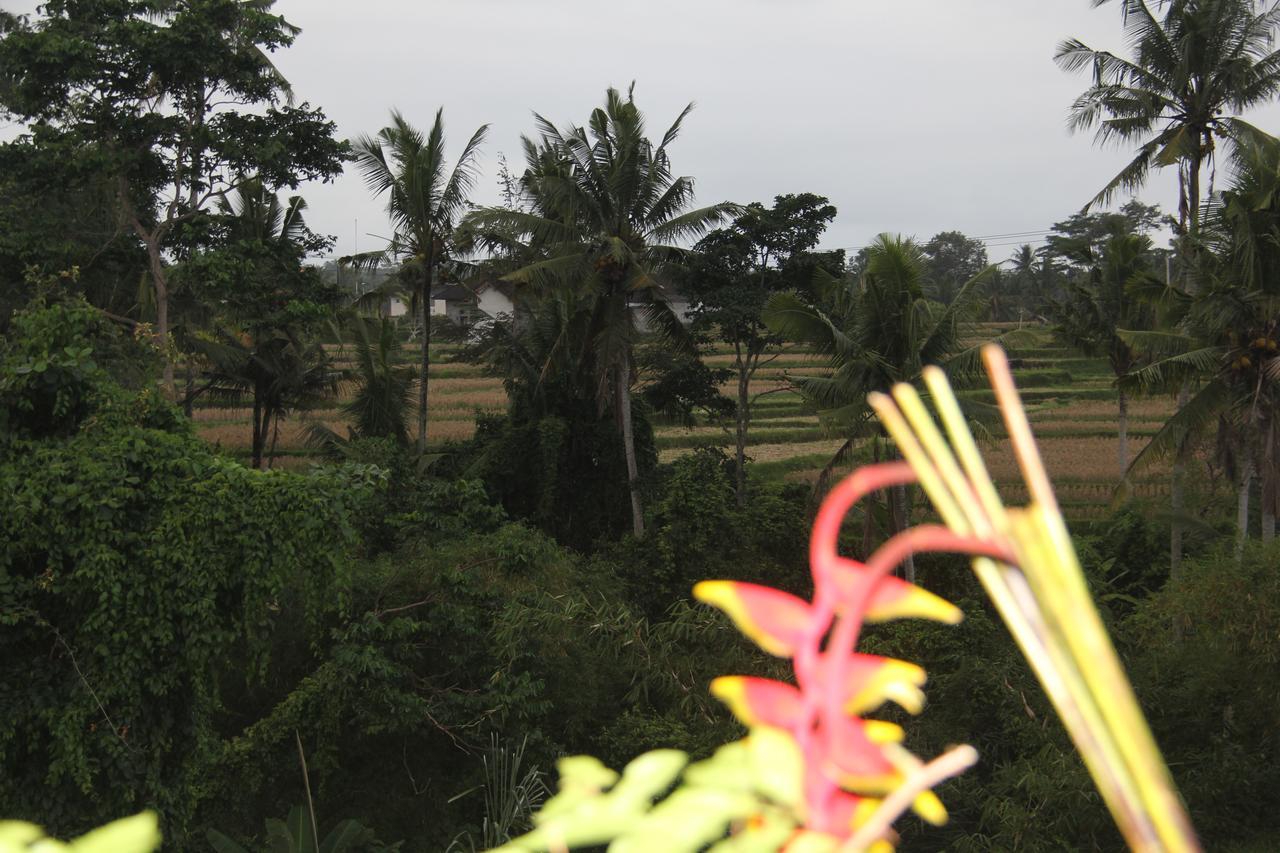 Ogek Home Stay Ubud  Exterior photo