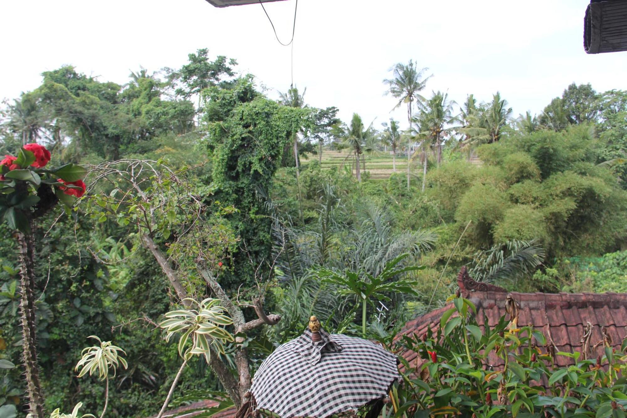 Ogek Home Stay Ubud  Exterior photo